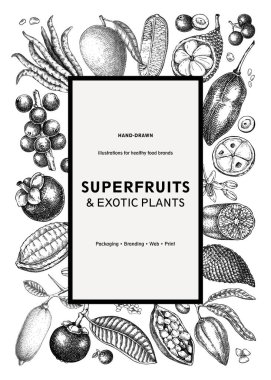 Egzotik meyve çerçevesi tasarımı. Superfruit yiyecek markalaşması için vektör çizimleri yaptı. Kitap kapağı tasarımı için tropik bitkiler. Yapay zeka oluşturulmamış Vektör illüstrasyonu.