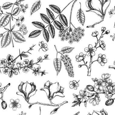 Çiçek açan ağaçlar sınır tasarımı. Çiçekli dallar elle çizilmiş vektör çizimi. Eskiz tarzında klasik bahar arkaplanı. Yapay zeka oluşturulmamış Vektör illüstrasyonu.