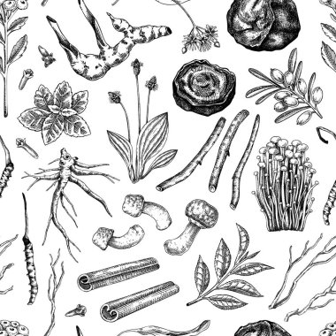 Antika eczacı kusursuz desen. Geleneksel tıp geçmişi. Şifalı bitkiler, kökler, mantarlar çizim tarzında elle çizilmiş vektör çizimleri. Yapay zeka üretilmedi. Vektör illüstrasyonu.