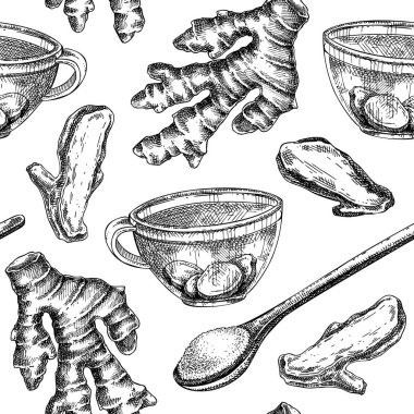 Zencefil kökü. Baharatsız desenler. Tıbbi plnat el çizimi vektör çizimleri ayarlandı. Bitkisel ilaç malzemesi taslağı. Yapay zeka üretilmedi. Vektör illüstrasyonu.