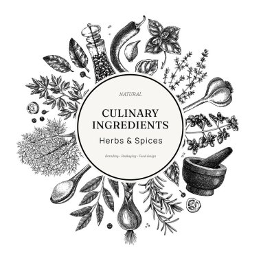 Mutfak bitkileri ve baharat çelengi tasarımı. Mutfak malzemeleri elle çizilmiş vektör çizimi. Paketleme, damgalama, etiketleme, menüler için doğal gıda taslakları. Yapay zeka oluşturulmamış Vektör illüstrasyonu.