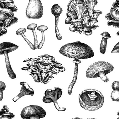 Yaban mantarları dikişsiz desen. El çizimi vektör çizimi. Restoran menüsü tasarımı ve sağlıklı gıda ürünleri için vinatge mantar arka planı. Yapay zeka oluşturulmamış Vektör illüstrasyonu.