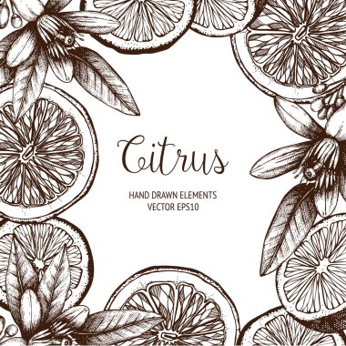 intage citrus background