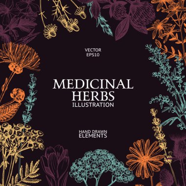 Vintage design with hand sketched herbs