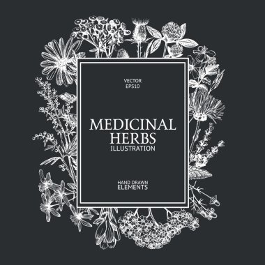 Vintage frame with spices and herbs