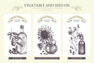 Card design with vegetables and seed-oil illustration