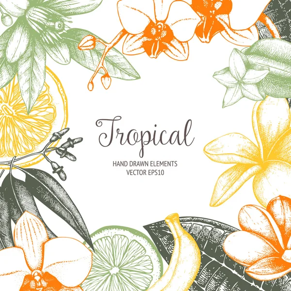Hand drawn tropical fruit background — 图库矢量图片