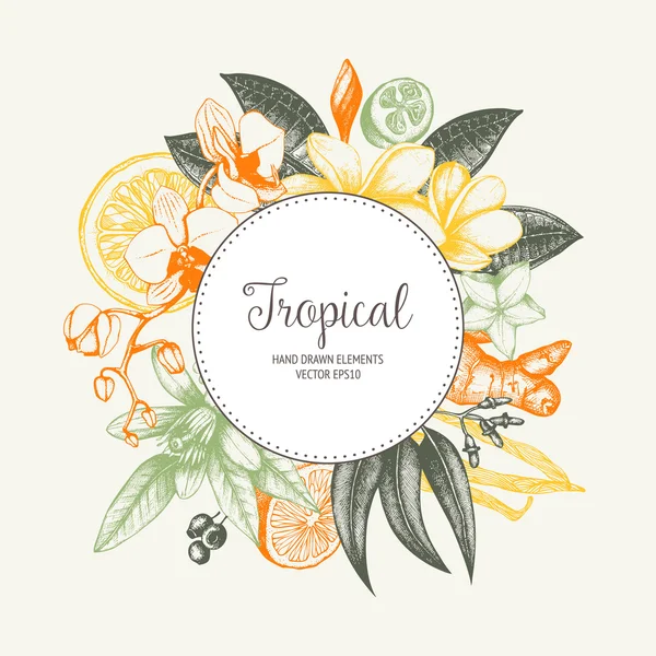 Hand drawn tropical fruit background — Stock vektor