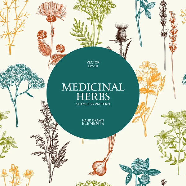 Background with medicinal herbs sketch — Stok Vektör