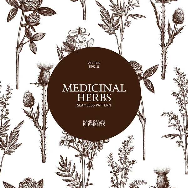 Vintage design with hand sketched herbs — 스톡 벡터