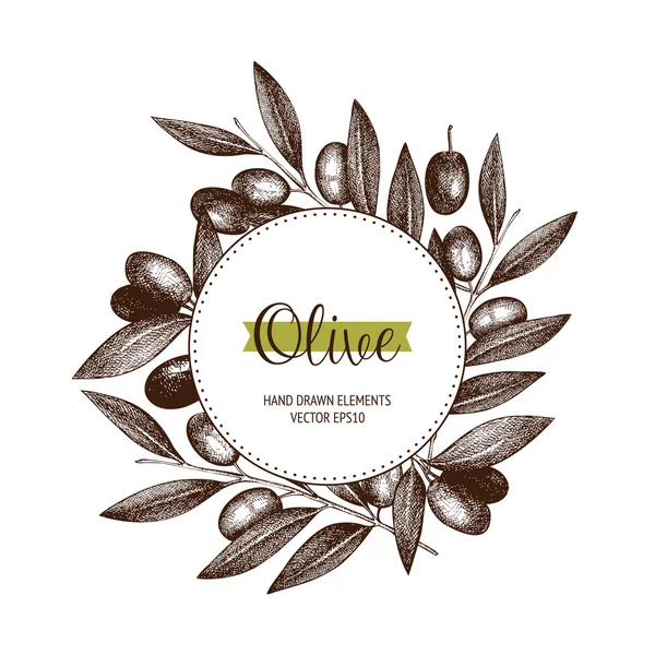 Vintage fond olive — Image vectorielle