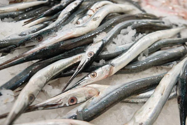 Gekoelde naaldvissen op ijs bij hypermarkt vriezer — Stockfoto