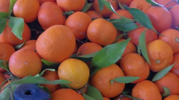 Mandarins with green leaves on market stall — Stock Video