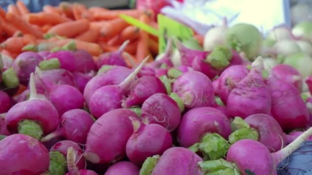 Ραπάνια, καρότα και κόκκινα λάχανα στην αγροτική αγορά του χωριού — Αρχείο Βίντεο
