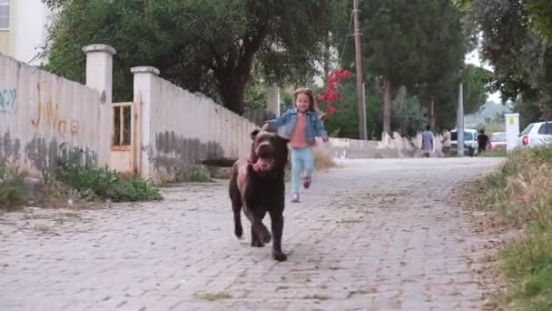 Meisje en hond op een wandeling plezier hebben — Stockvideo