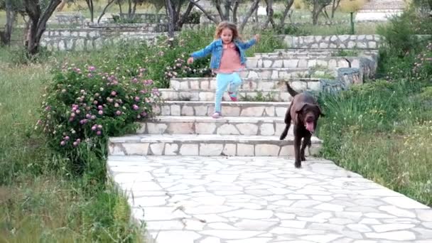 Girl and dog on a walk having fun — Stock Video