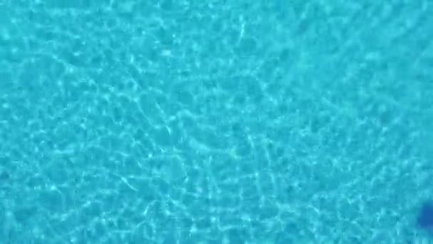 Man swims at swimming pool — Stock Video