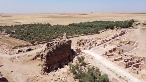 Ruines de Dara Ancienne ville, forteresse romaine orientale dans le nord de la Mésopotamie — Video