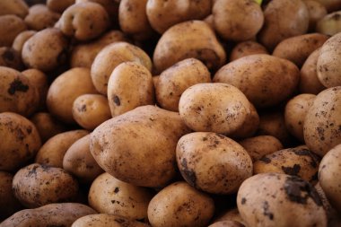 Ülke sebze pazarında patates yığını