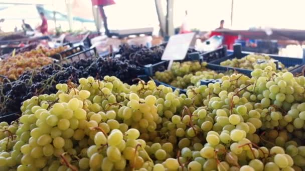 Trauben und andere Früchte am Marktstand — Stockvideo