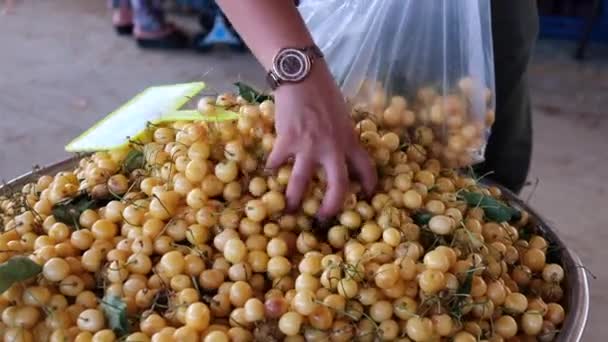 Wanita menaruh ceri kuning ke dalam kantong plastik — Stok Video