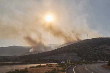 Türkiye 'nin Mersin ilinde yaz orman yangını