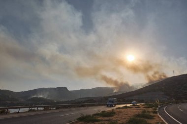 Türkiye 'nin Mersin ilinde yaz orman yangını