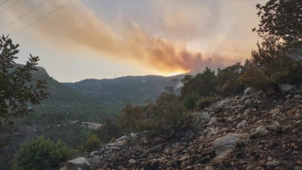 Fumaça de florestas ardentes — Vídeo de Stock