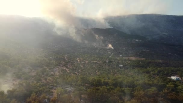 Foresta in fiamme nella provincia di Mersin, Turchia — Video Stock