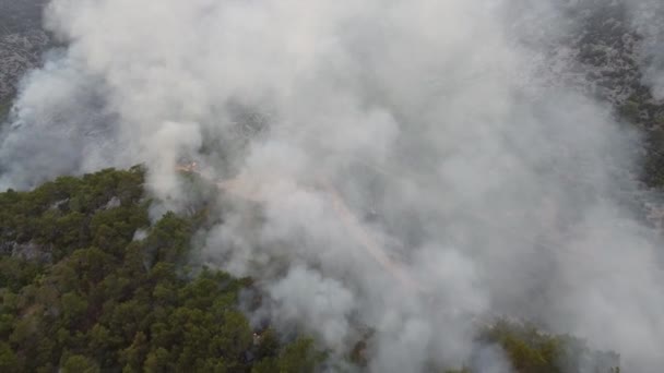 Bosque en llamas en la provincia de Mersin, Turquía — Vídeos de Stock