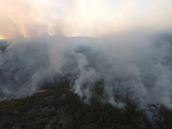 Burning forest in Mersin province, Turkey — Stock Photo, Image