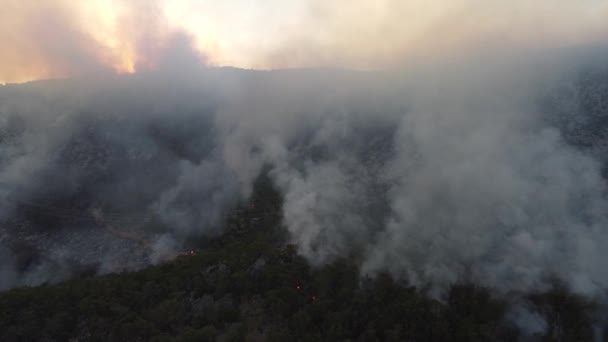 Foresta in fiamme nella provincia di Mersin, Turchia — Video Stock