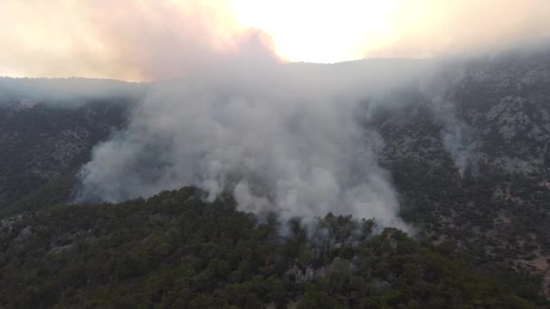 Il fumo di un fuoco di foresta oscura il sole — Video Stock