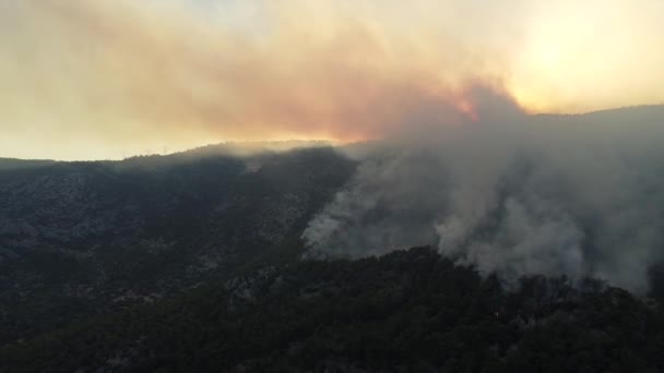 Il fumo di un fuoco di foresta oscura il sole — Video Stock