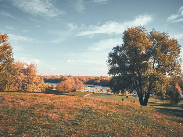 Herfstlandschap met weide en bomen — Stockfoto