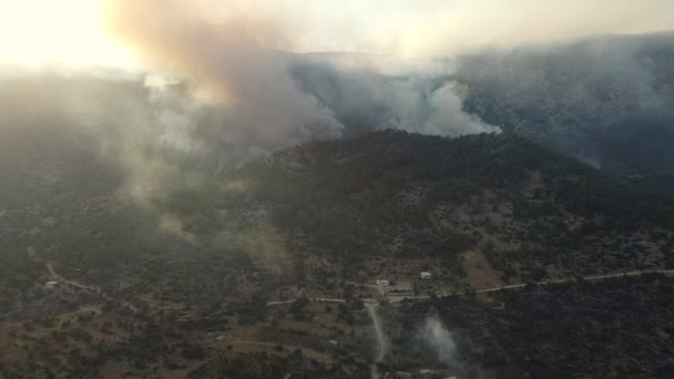 Il fumo di un fuoco di foresta oscura il sole — Video Stock