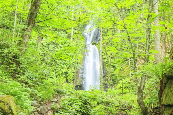 Waterfall in forest — Stock Photo, Image