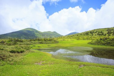 Marsh Mt. Hakkodasan