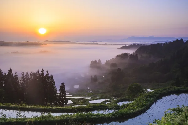 Sunrise from sea of clouds — Stock Photo, Image