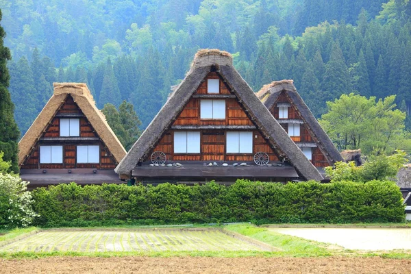 Patrimoine mondial de l'humanité Shirakawago — Photo