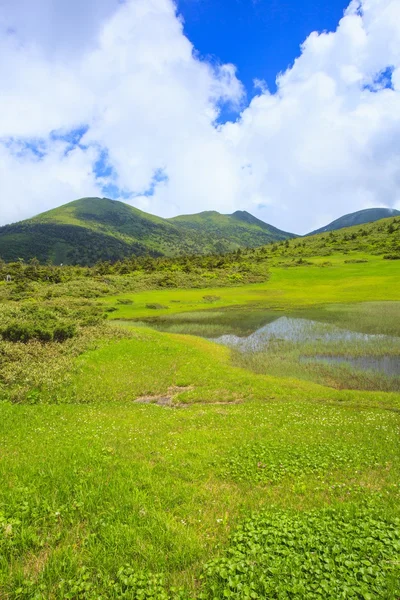 Marsh of Mt. Hakkodasan — Stock Photo, Image