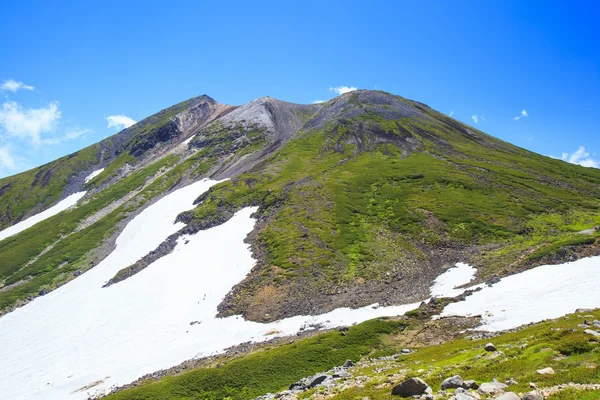 Estate di montagna — Foto Stock