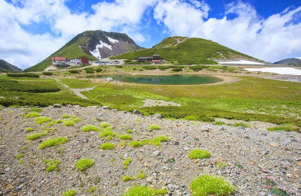 Verano de montaña — Foto de Stock