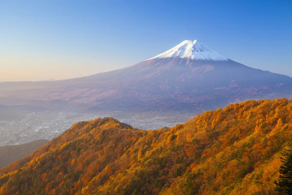 Осінь Mt. Fuji — стокове фото