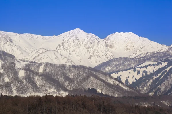 Hakuba vesnice v zimě — Stock fotografie