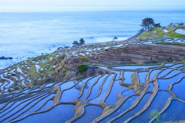Rice terraces at twilight clipart