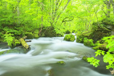Yaz Oirase Stream
