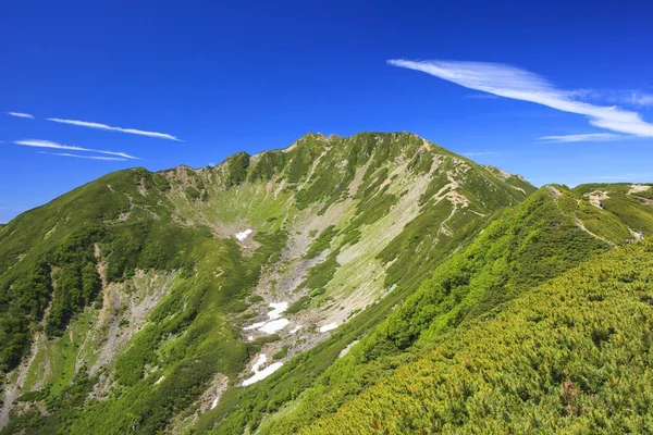 Summer Japanese Mountain — Stock Photo, Image