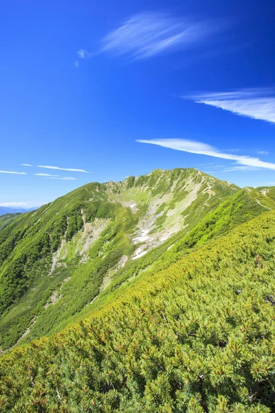 Yaz Japon dağ — Stok fotoğraf