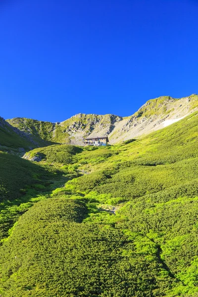 Summer Japanese Mountain — Stock Photo, Image